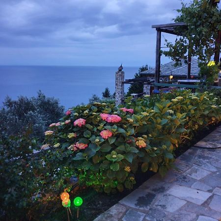 자고라 Analipsi Sea View Hommes 빌라 외부 사진