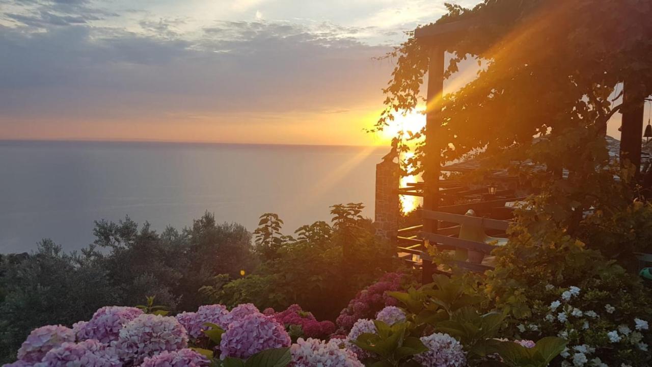 자고라 Analipsi Sea View Hommes 빌라 외부 사진